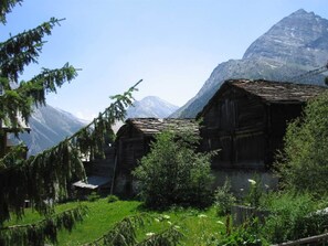 Une cabane en bois rustique, avec une vue sur les montagnes en arrière-plan.