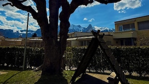 Ein Baum, durch dessen Äste die Sonne scheint, mit blauem Himmel und einem Gebäude im Hintergrund.