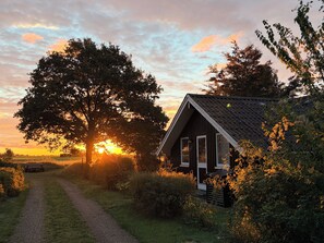 A rural cabin with a gravel path leading to it, surrounded by trees and vegetation. - Renovated, 4 rooms, sea view, beach, calm (Nysted)