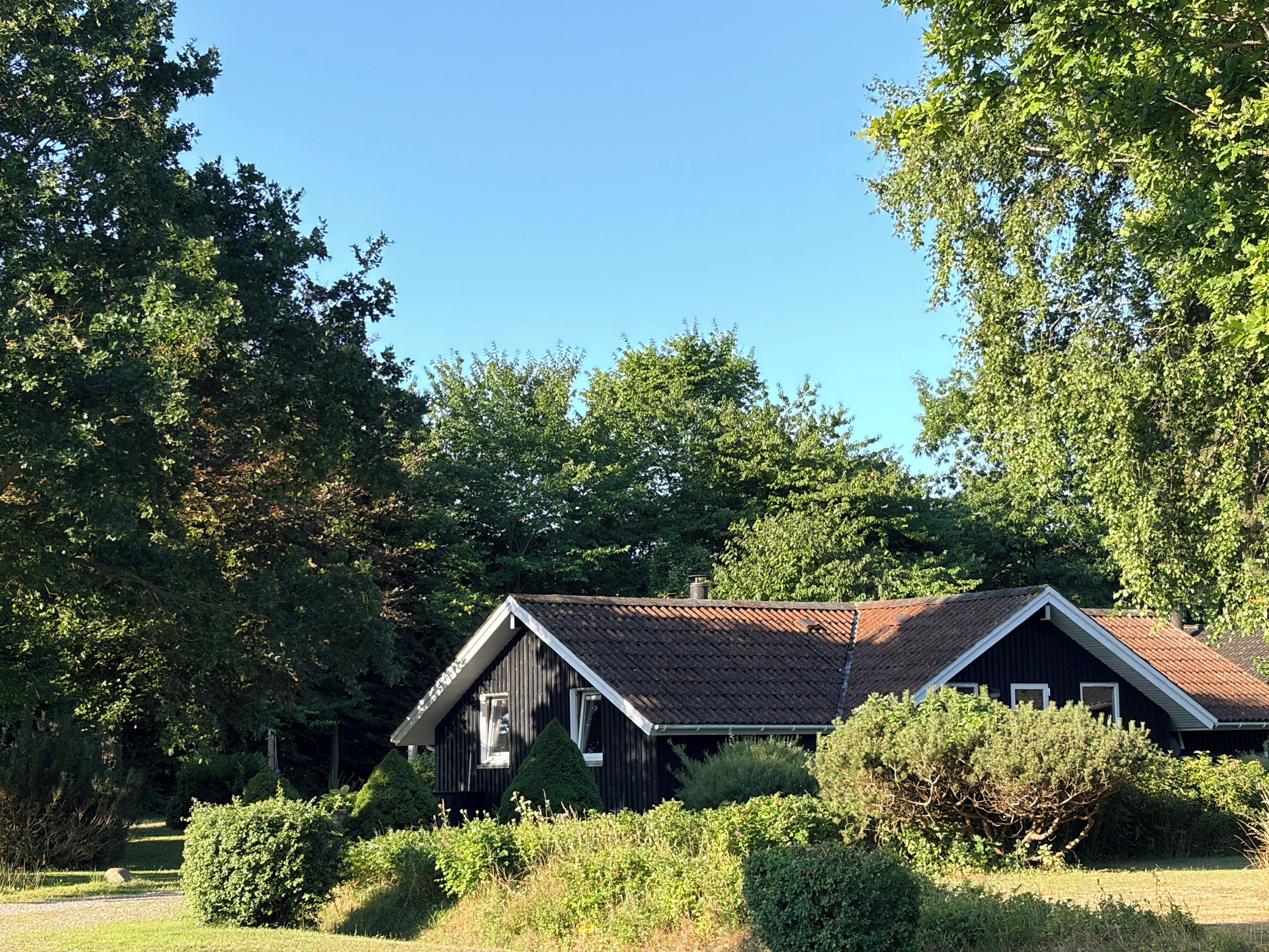 A wooden cabin with a sloped roof, surrounded by dense greenery and trees.