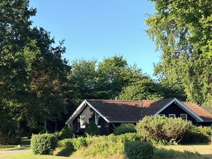 A wooden cabin with a sloped roof, surrounded by dense greenery and trees. - Renovated, 4 rooms, sea view, beach, calm (Nysted)