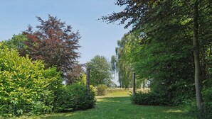 Een pad door een tuin met verschillende bomen en struiken.
