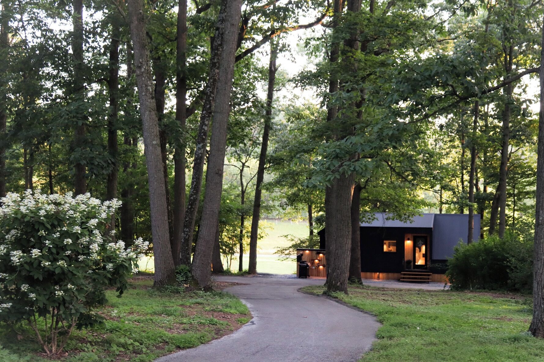 A cabin in a forest with a paved path leading to it.