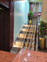 Una escalera con escalones de madera y barandillas metálicas, flanqueada por plantas en macetas.