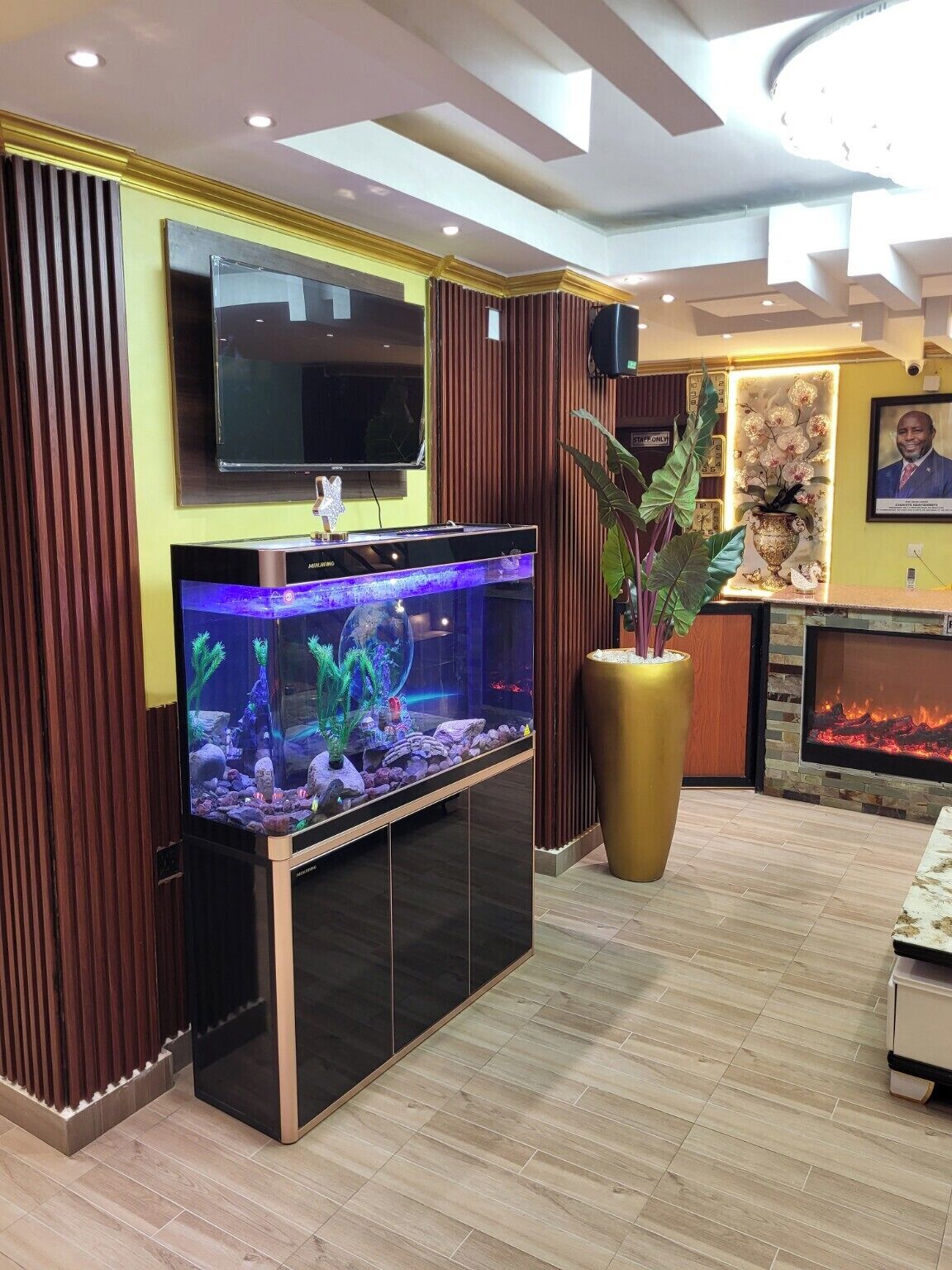 Un intérieur moderne agrémenté d’un grand aquarium, d’un téléviseur à écran plat et d’une cheminée.