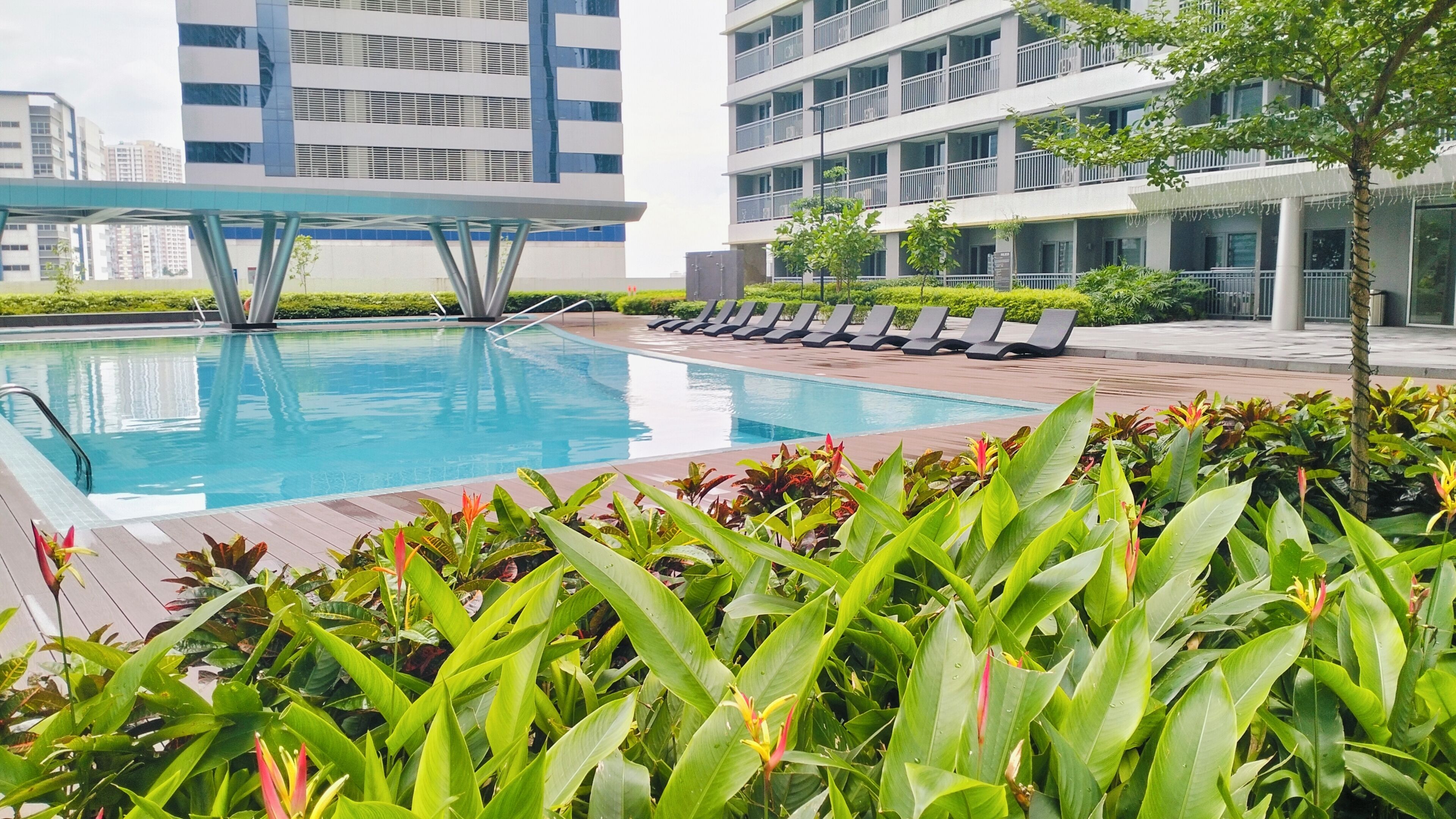 Apartment, 1 Bedroom | Pool