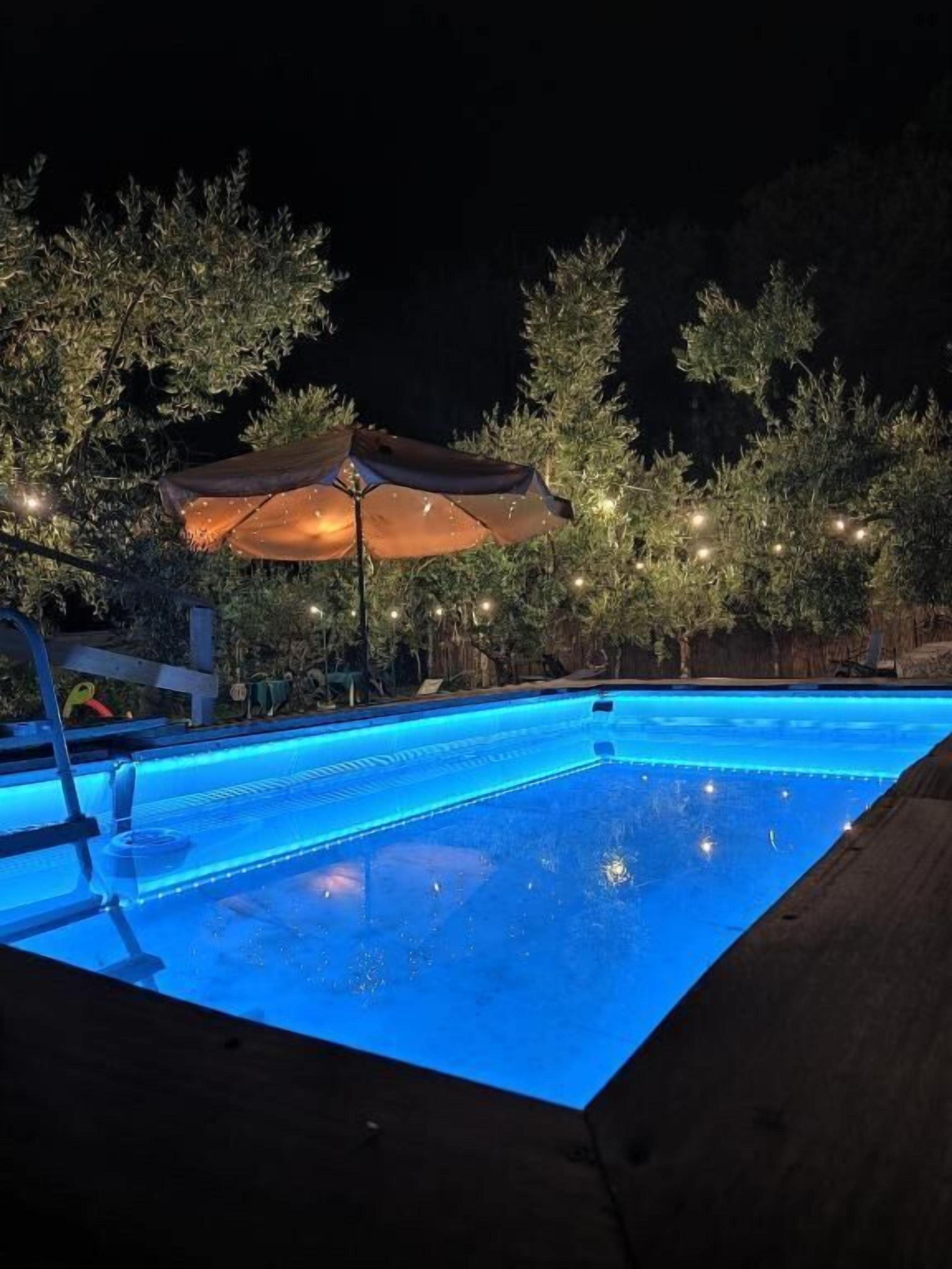 Double Room, Garden View | Pool