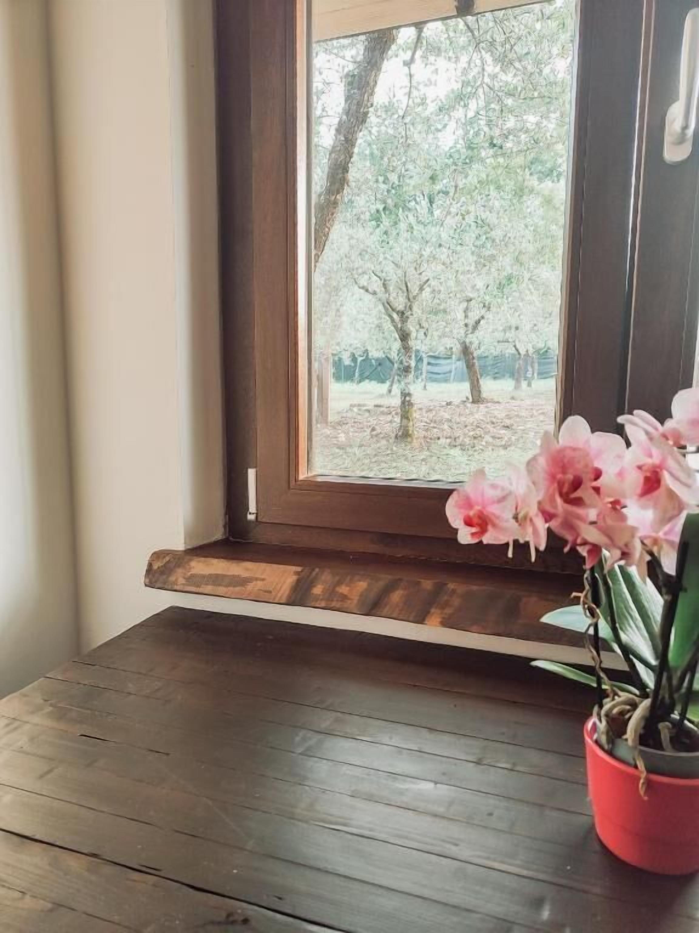 Un piso de madera, una ventana con vista a árboles y una planta en maceta con flores rosadas.