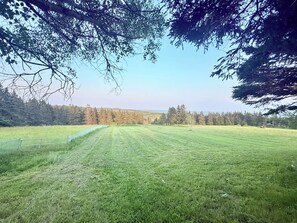 Miscellaneous - Historic Coastal Retreat | Pool + Sandy Beach Access (Lawrencetown)