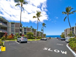 Property grounds - Little Kona Getaway with AC & heated oceanfront pool 1 BD 1 BA with sleeper sofa (Kailua Kona)