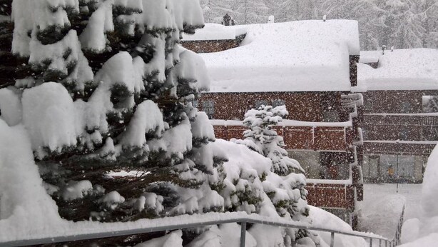 A snow-covered building with a sloped roof and a snow-laden tree in the foreground. - Swiss Chalet Appartement/Fewo 2-Bettwohnung Nr. 5 by Interhome (Saas-Fee)