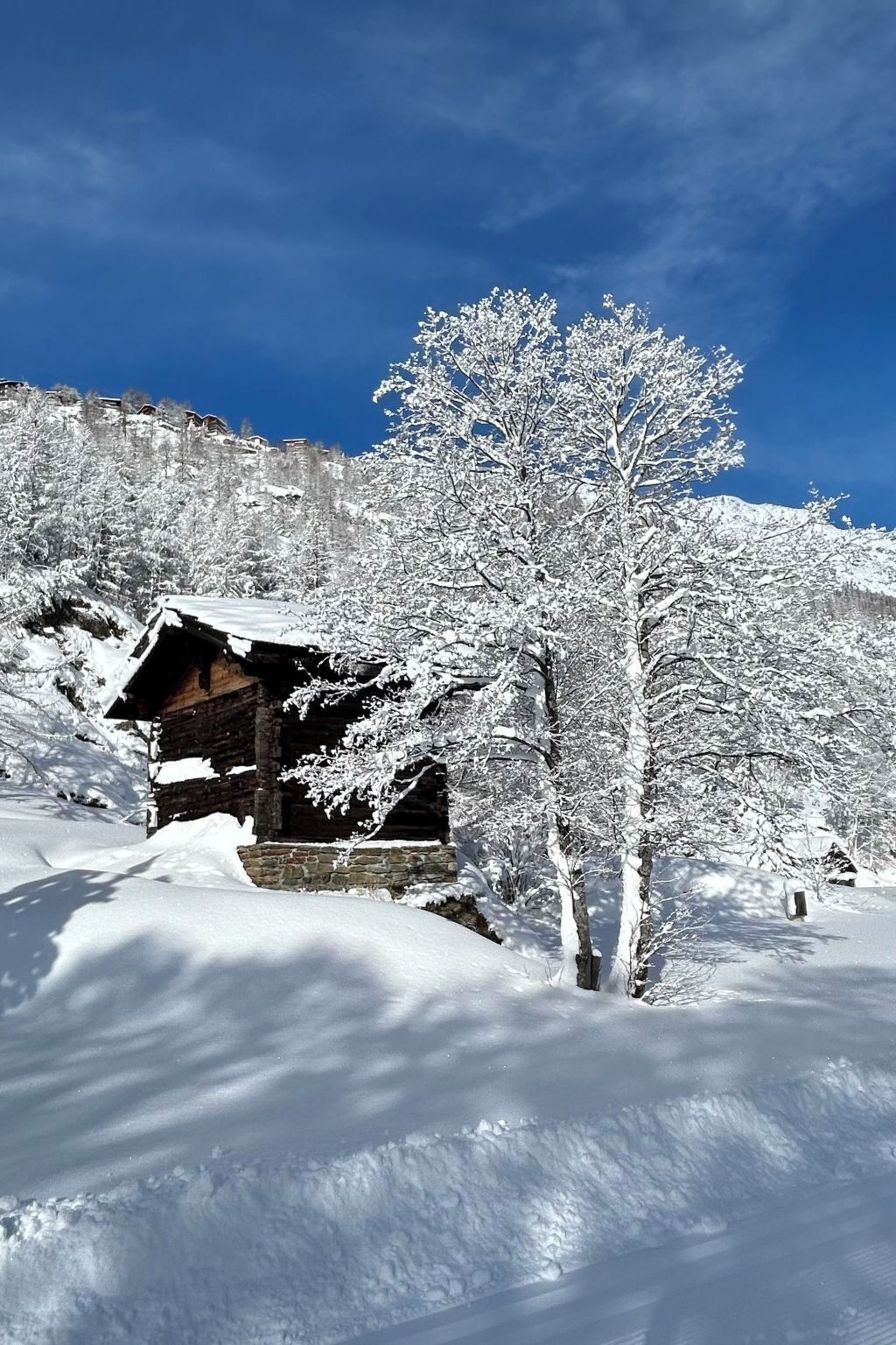 A snow-covered wooden cabin with a stone foundation, surrounded by snow-laden trees and a clear blue sky.