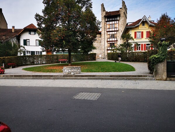 A street with a stone bench, a tree, and buildings with distinct architectural styles.