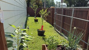 A backyard with a wooden fence, a raised garden bed, and a variety of plants. - 4 Bdrms. “ 2 Kngs 2 Qns ” - 1 Office & 2-Car Garage. (Memphis)