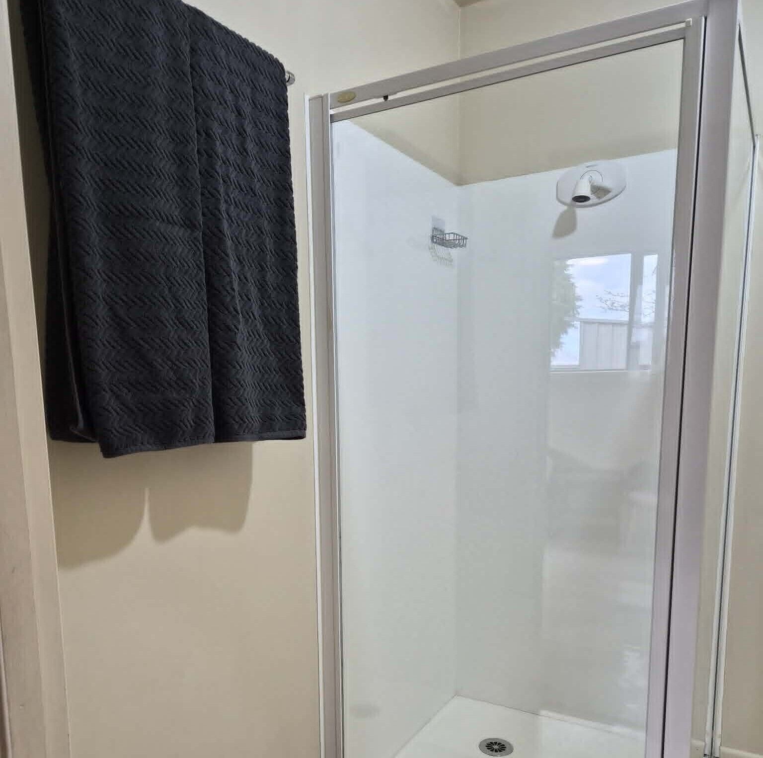 Shower, towels, toilet paper