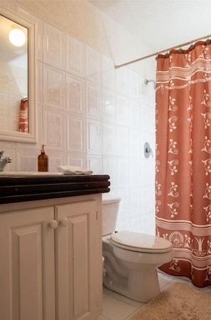 Dusche, Haartrockner, Handtücher