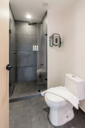 Shower, free toiletries, hair dryer, towels - Myla Girasol  (Ciudad de México)