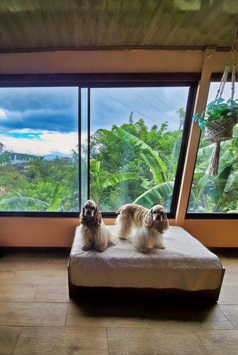 Escazu Studio