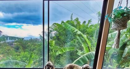 Escazu Studio