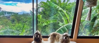 Escazu Studio