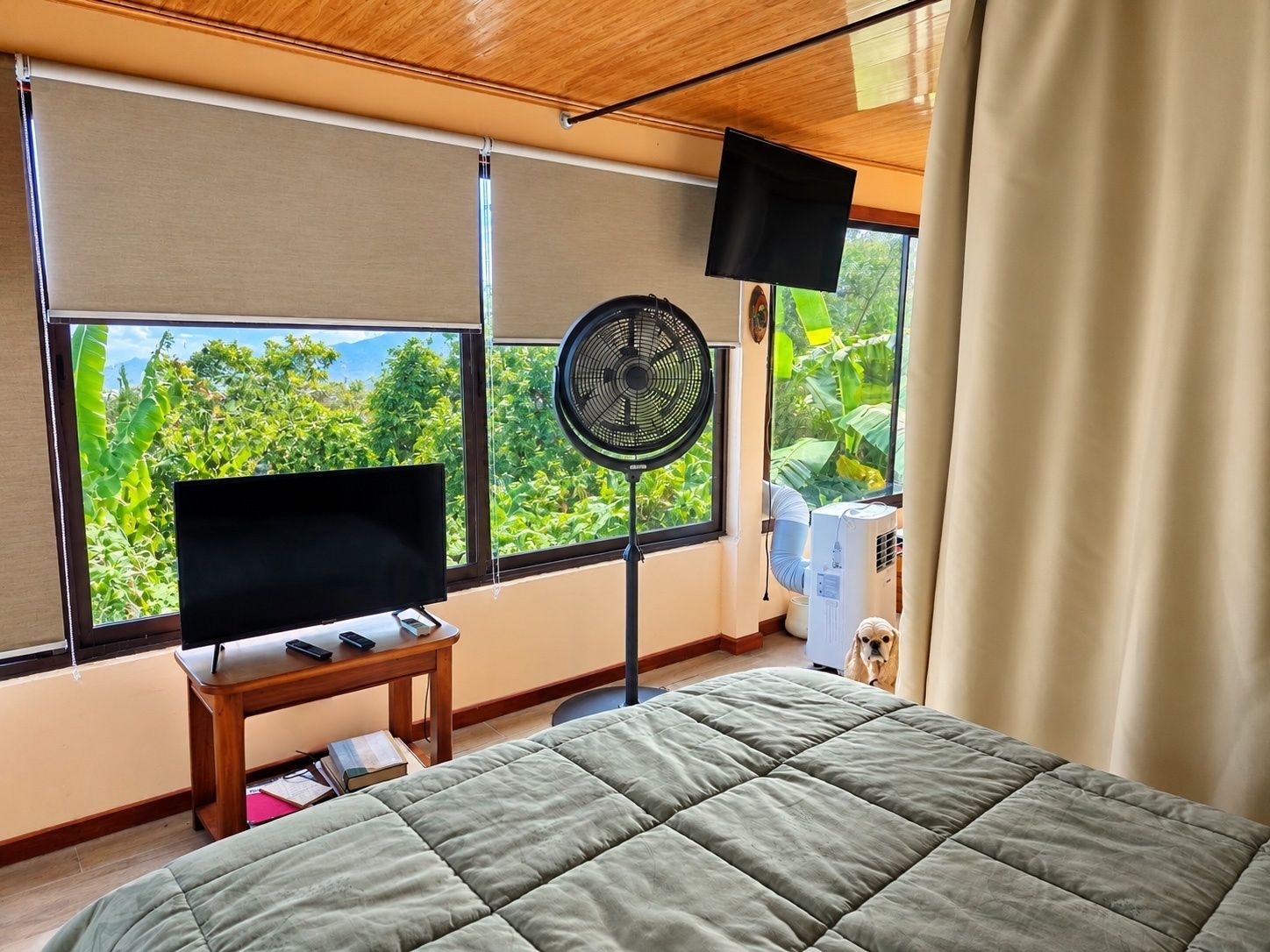 A room with a bed, a television on a stand, a standing fan, and a window with a view of greenery.