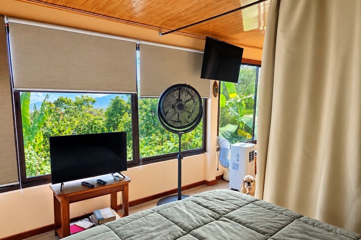 A room with a bed, a television on a stand, a standing fan, and a window with a view of greenery.