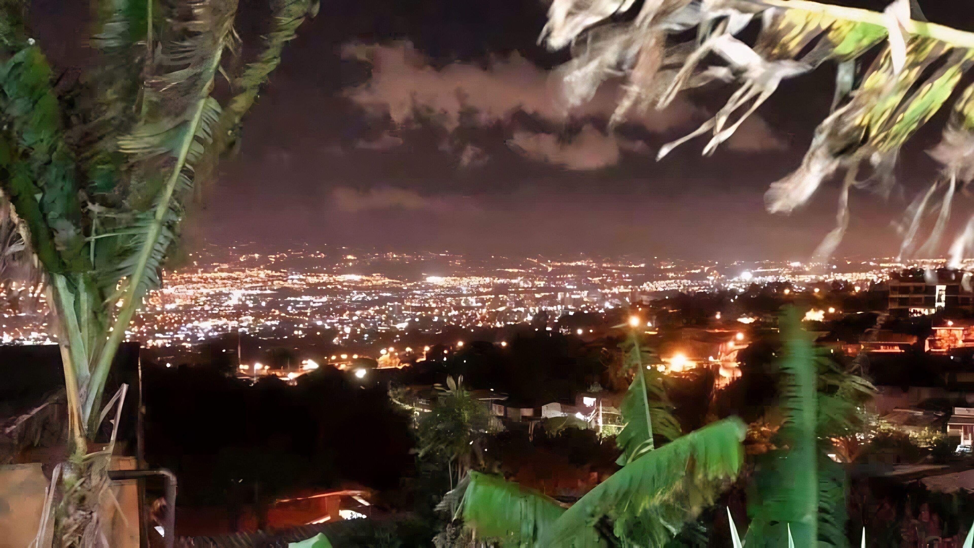 Deluxe Studio Suite, Patio, Valley View | Miscellaneous