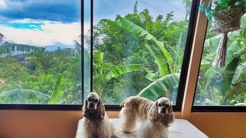 A room with a large window, a pet bed, and a view of greenery.