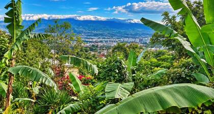 Escazu Studio
