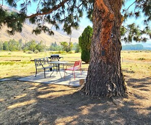 A picnic setup with a table and benches under a large tree, surrounded by a grassy field and mountains in the background.