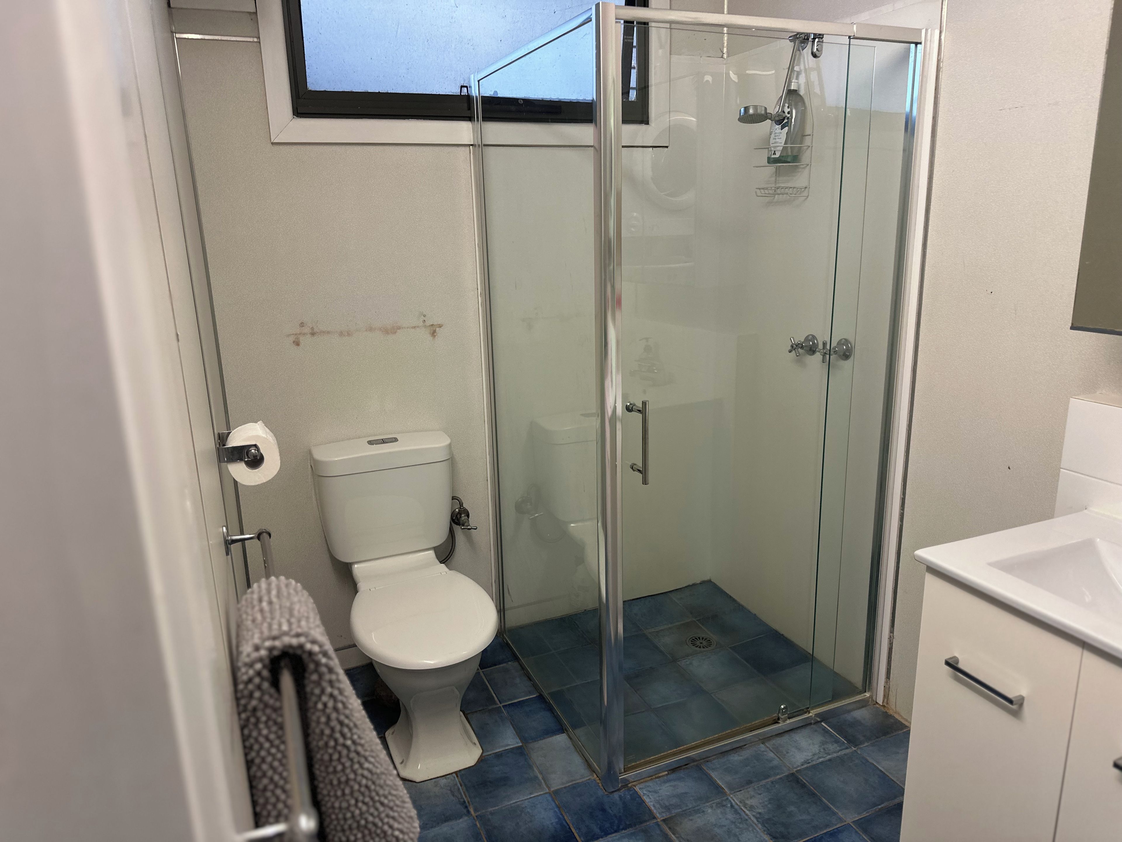Een badkamer met een douche met glazen wand, een toilet en een wastafel.