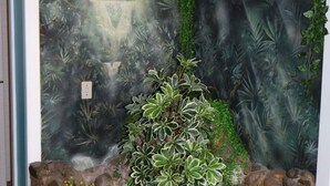 Un muro de piedra con una planta y flores.