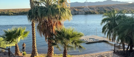 A beach with palm trees, a sandy shore, and a body of water.