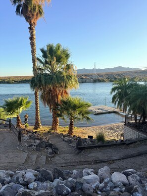 A beach with palm trees, a sandy shore, and a body of water.