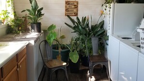 A kitchen with potted plants, a wooden sign with washing instructions, and a small stool.