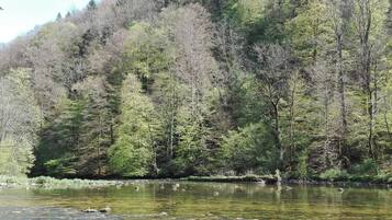 Ein Fluss mit klarem Wasser, umgeben von dichtem Wald und Hügeln.