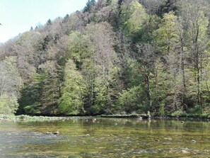 A river with clear water, surrounded by dense forest and hills. - Appartements - Ferme La Joux-Chaupe, (St-Ursanne), by Interhome (Saint-Ursanne)