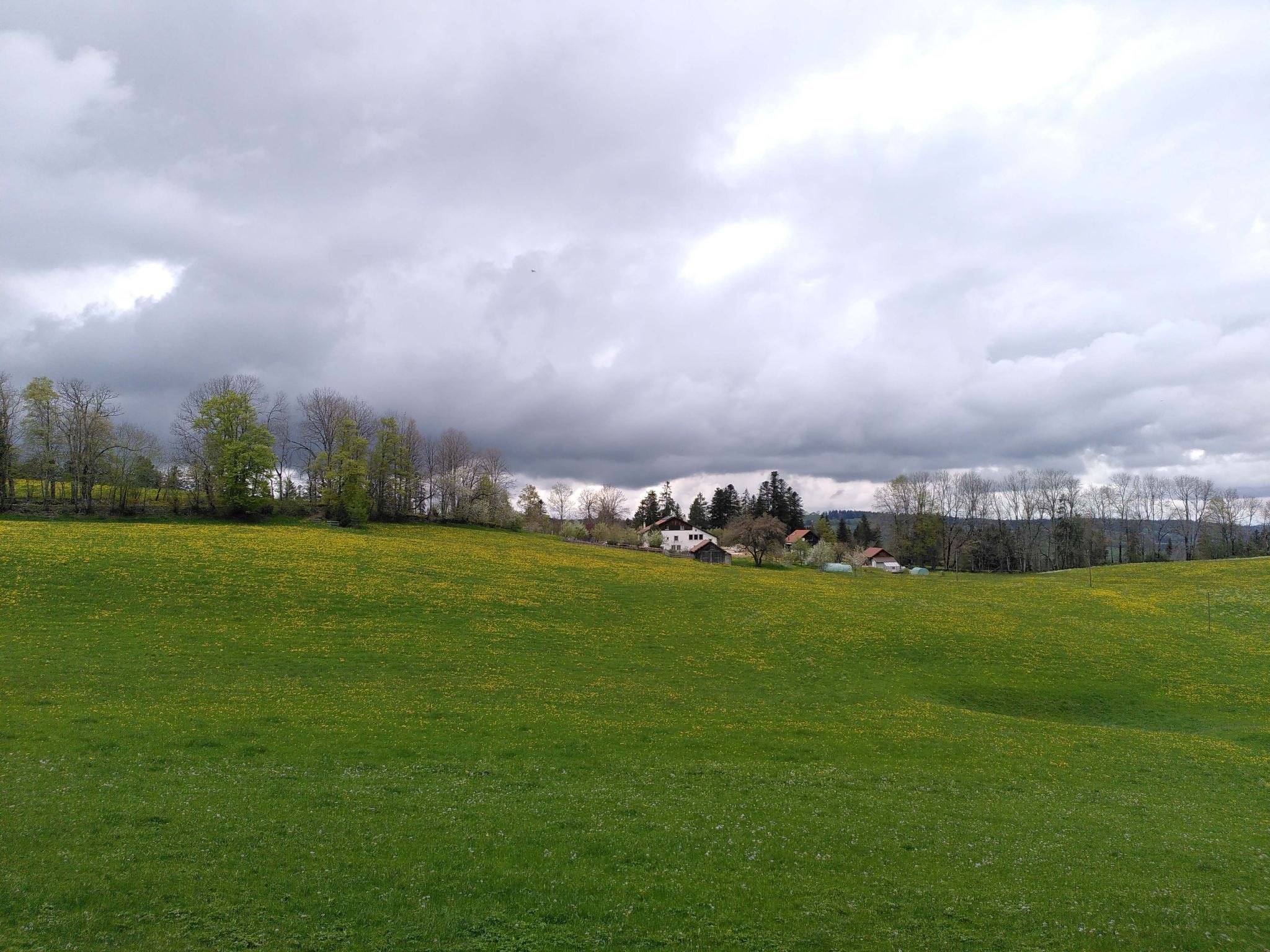 Un paysage rural avec un champ d’herbe, des arbres et une maison au loin.