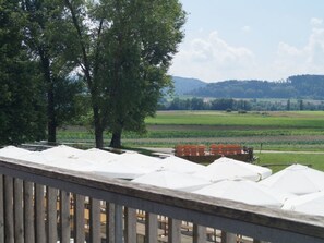 A view of a terrace with a railing, overlooking a green field and trees.