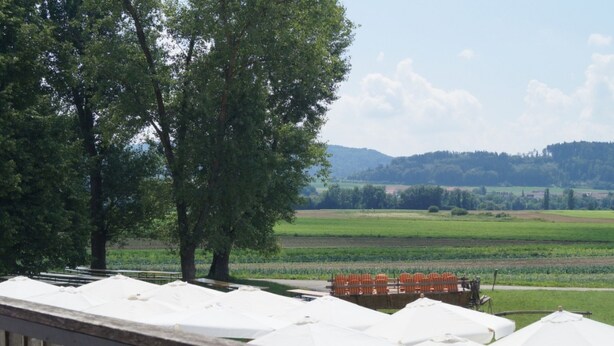 A view of a terrace with white umbrellas, a wooden railing, and a rural landscape with fields and trees in the background.