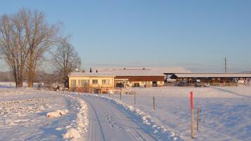 Extérieur