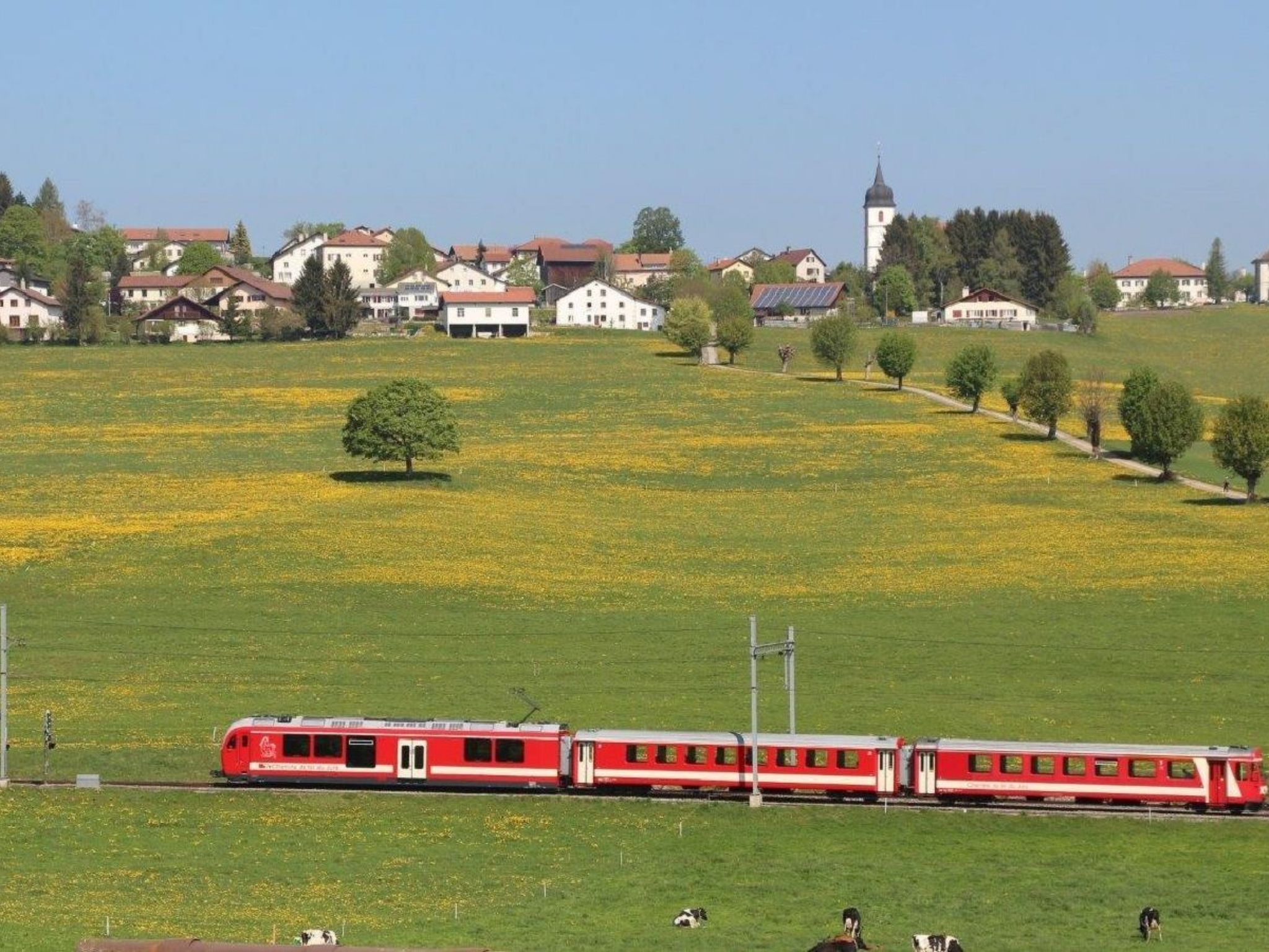 A red train on tracks with a green field and houses in the background.