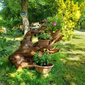A tree stump with two potted plants on its branches. - Vacation Home in Castelfiorentino with 1 bedrooms sleeps 4 (Castelfiorentino)