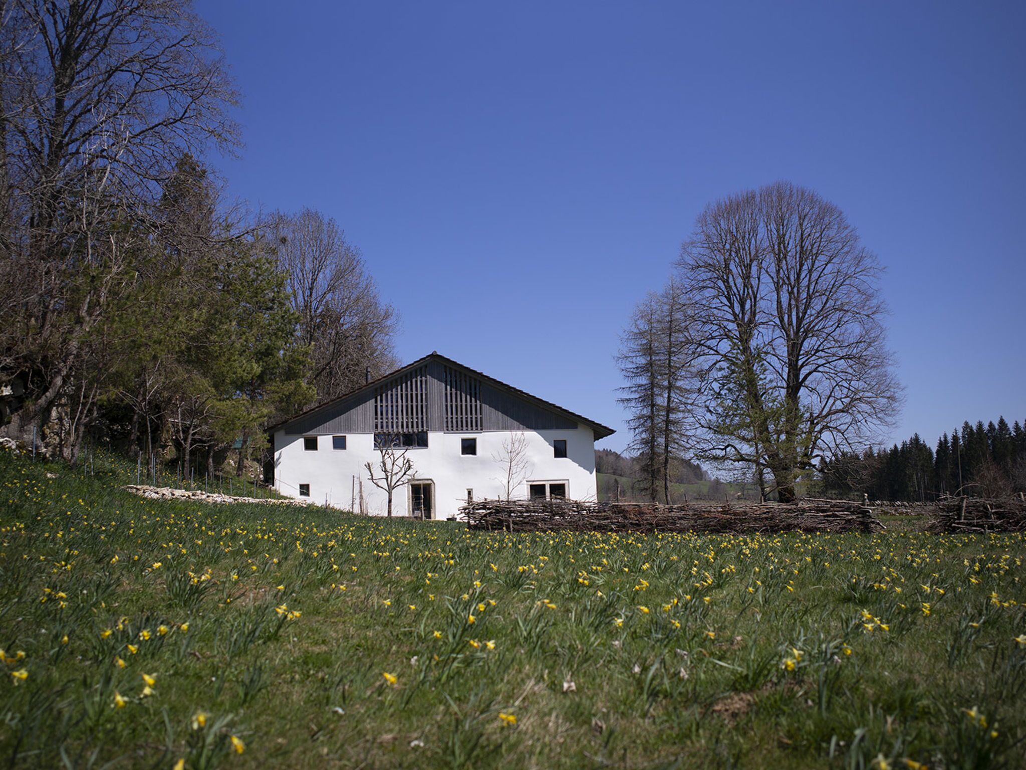 Eksteriør