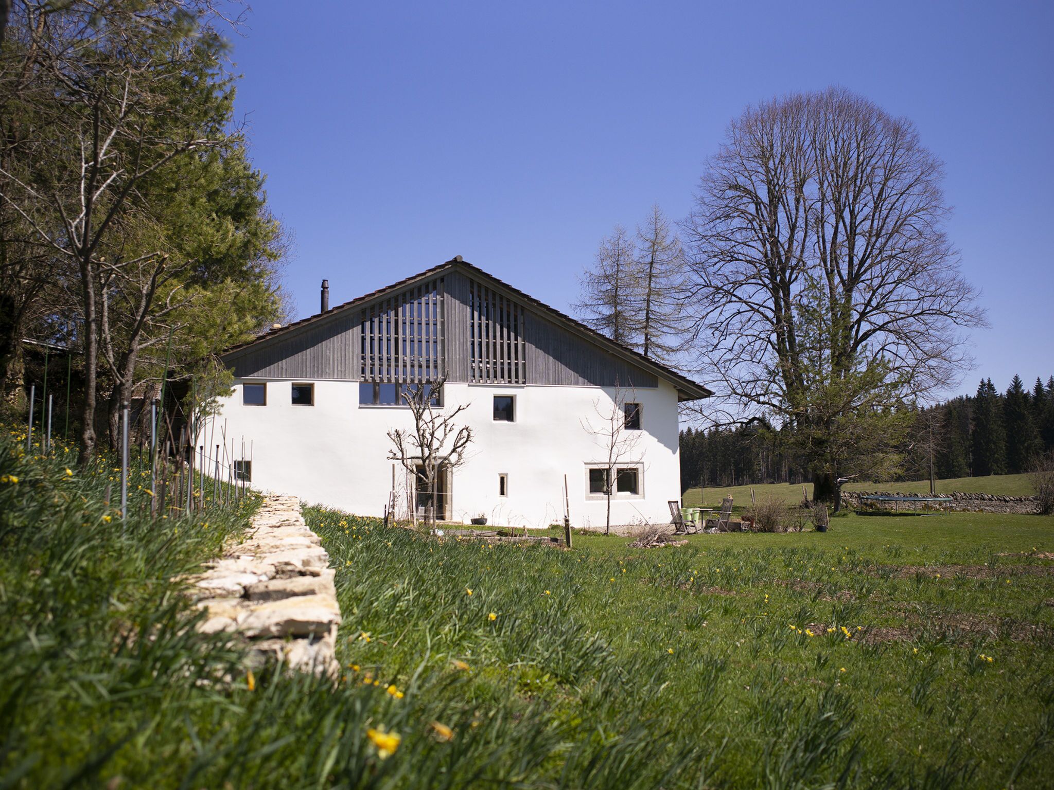 Eksteriør