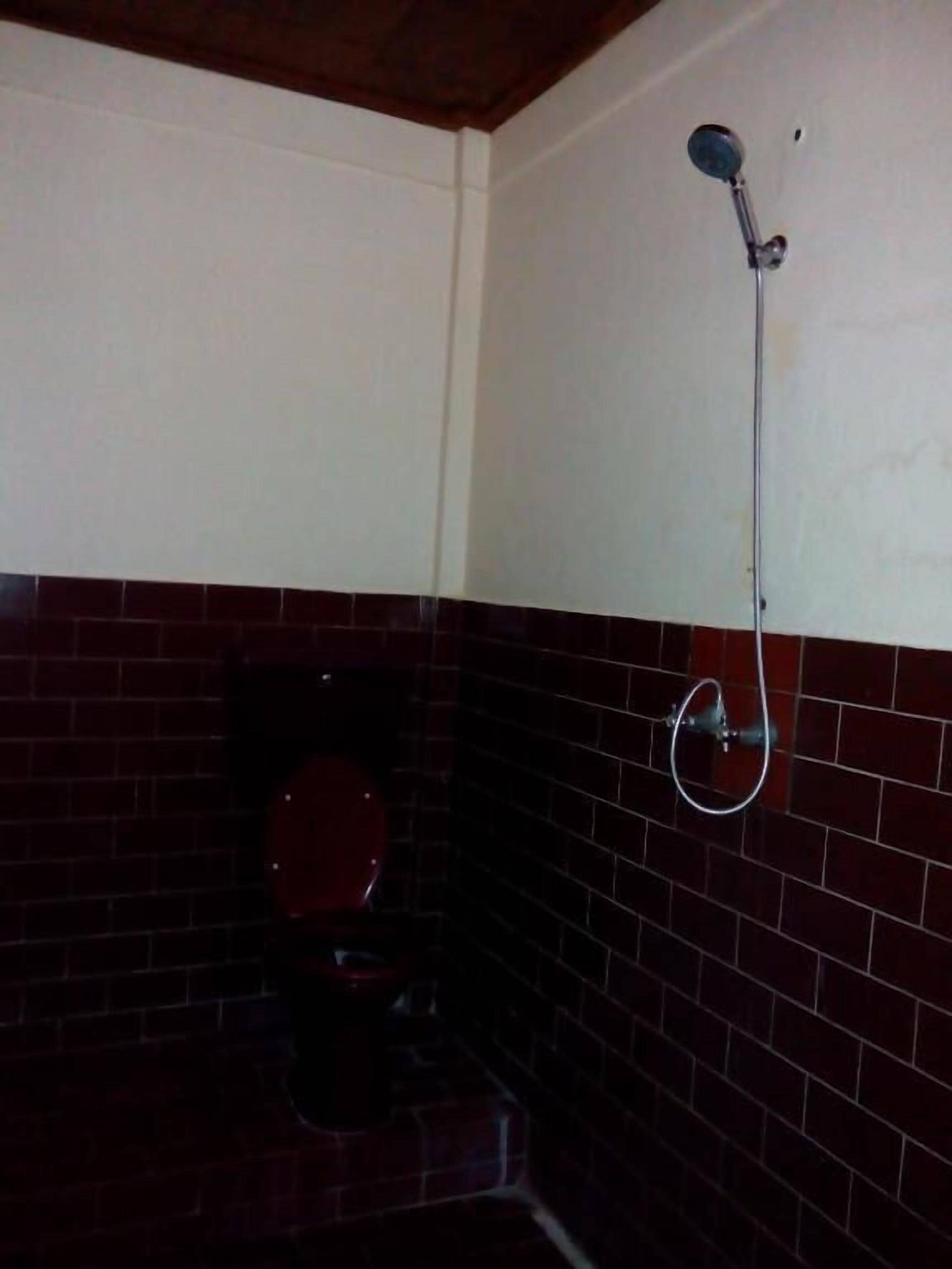 A bathroom with a red-tiled wall, a white ceiling, and a shower fixture.