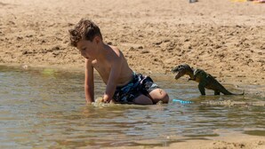 Ein Kind spielt im flachen Wasser am Strand mit einem Spielzeug-Dinosaurier.