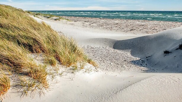 A beach with sand dunes and a view of the ocean. - Large holiday home close to the beach (Ebeltoft)