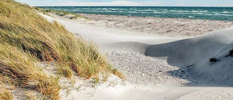 A beach with sand dunes and a view of the ocean.
