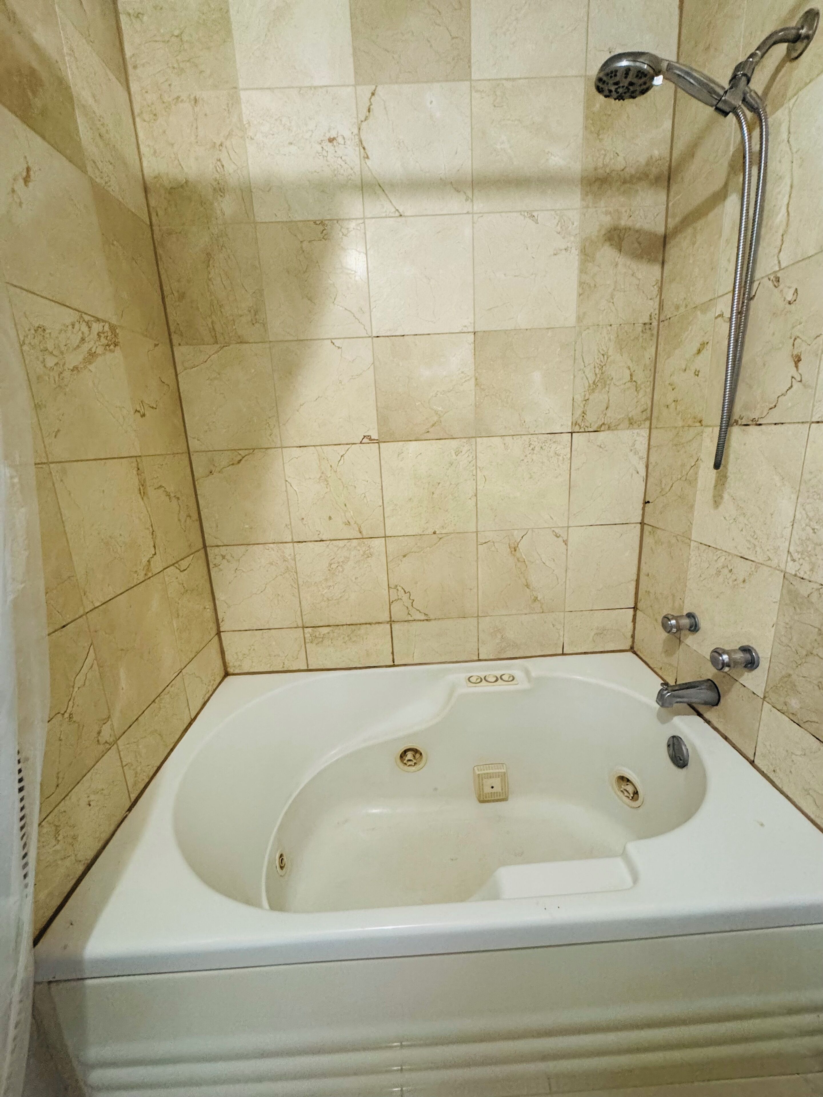 Jetted bath, towels, soap, toilet paper